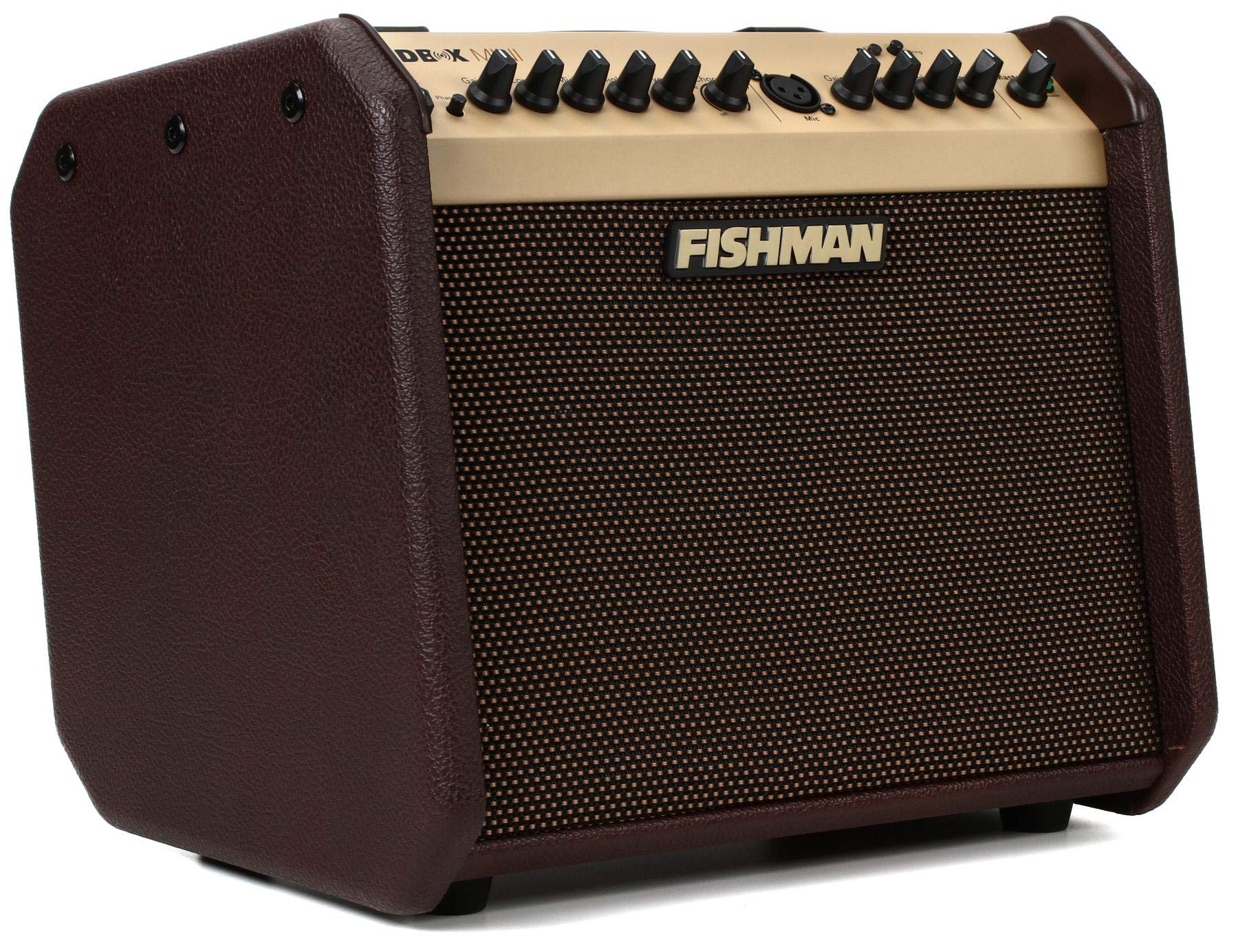 Fishman Loudbox Mini BT 60-Watt 1x6.5 Inches Acoustic C...