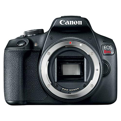 Canon هيكل كاميرا EOS Rebel T7 Digital SLR فقط (صندوق مجموعة)