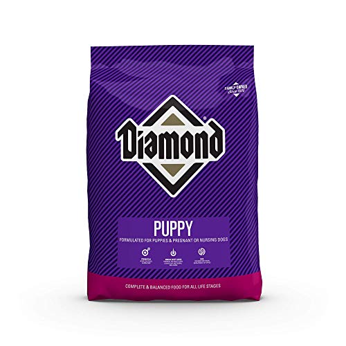 Diamond Pet Foods Diamond Premium Puppy تركيبة بروتين طعام الكلاب الجافة الكاملة والمتوازنة والبروبيوتيك