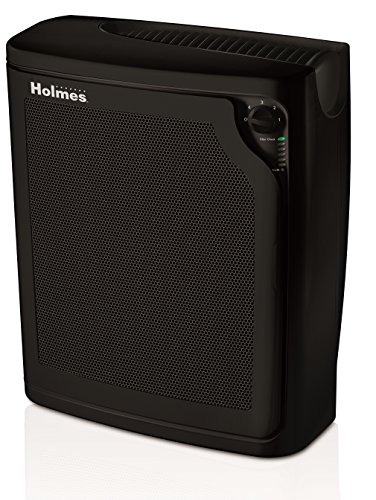 Holmes جهاز تنقية الهواء TRUE HEPA Console مع مرشح شريط LifeMonitor وتشغيل هادئ | منظف هواء للغرفة الكبيرة - أسود (HAP8650B-NU-2)