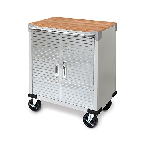 POLET Ultra HD 2-Door Rolling Cabinet