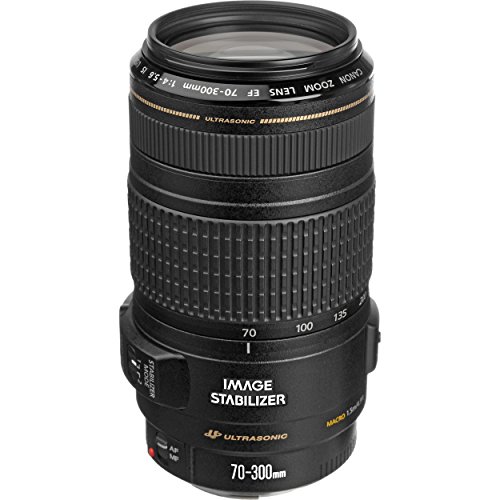 Canon عدسة EF 70-300mm f / 4-5.6 IS USM لكاميرات EOS SLR