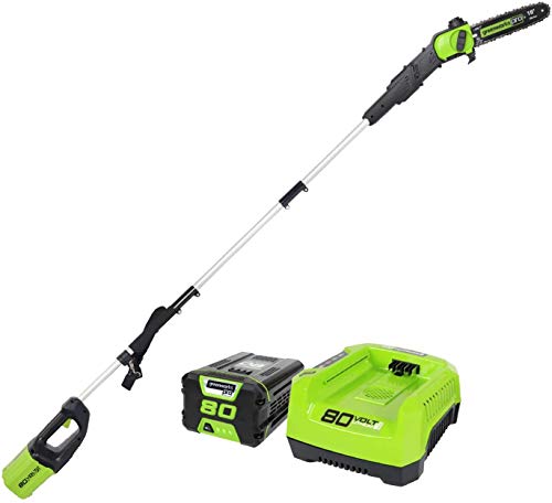 GreenWorks جهاز Pro 80V 10 inch Brushless اللاسلكي وبطارية 2 أمبير وشاحن مرفق PS80L210