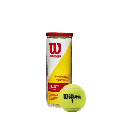 WILSON بطولة كرات التنس