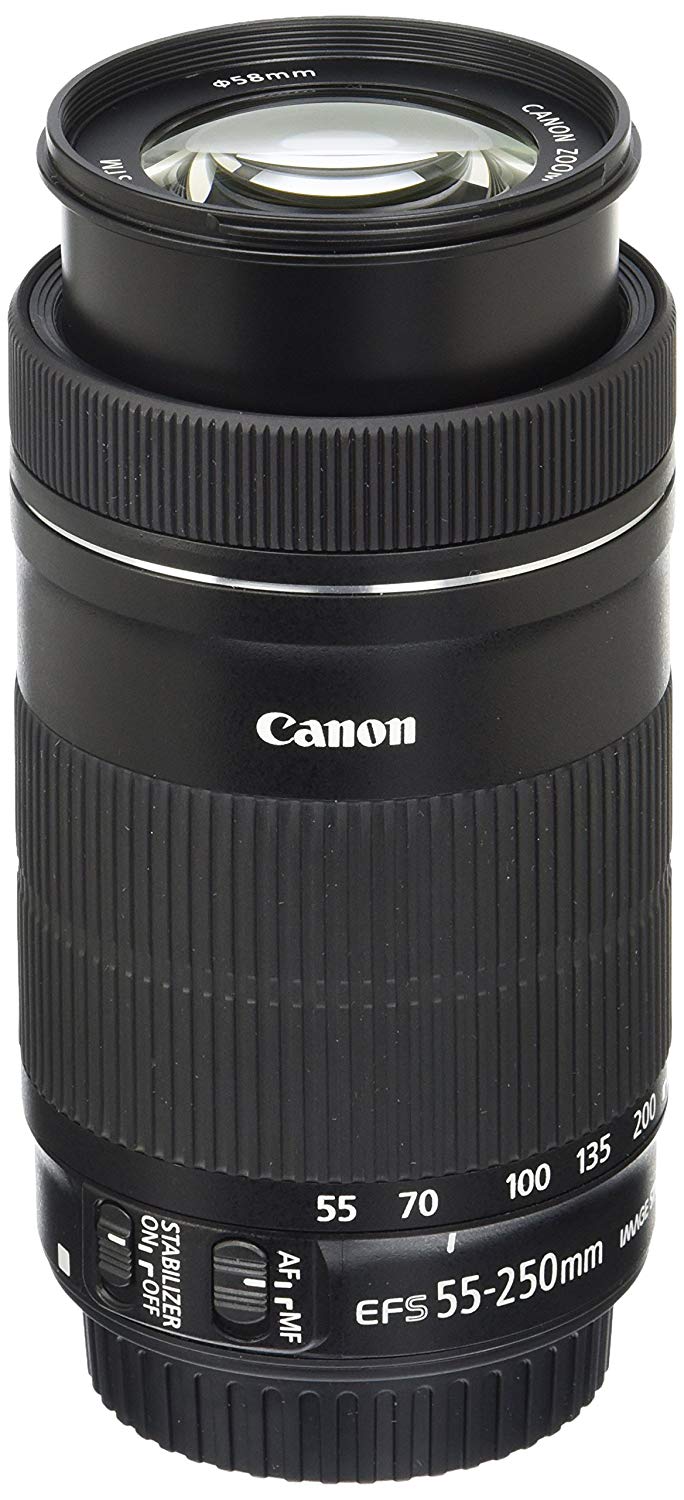 Canon عدسة EF-S 55-250mm F4-5.6 IS STM لكاميرات SLR...