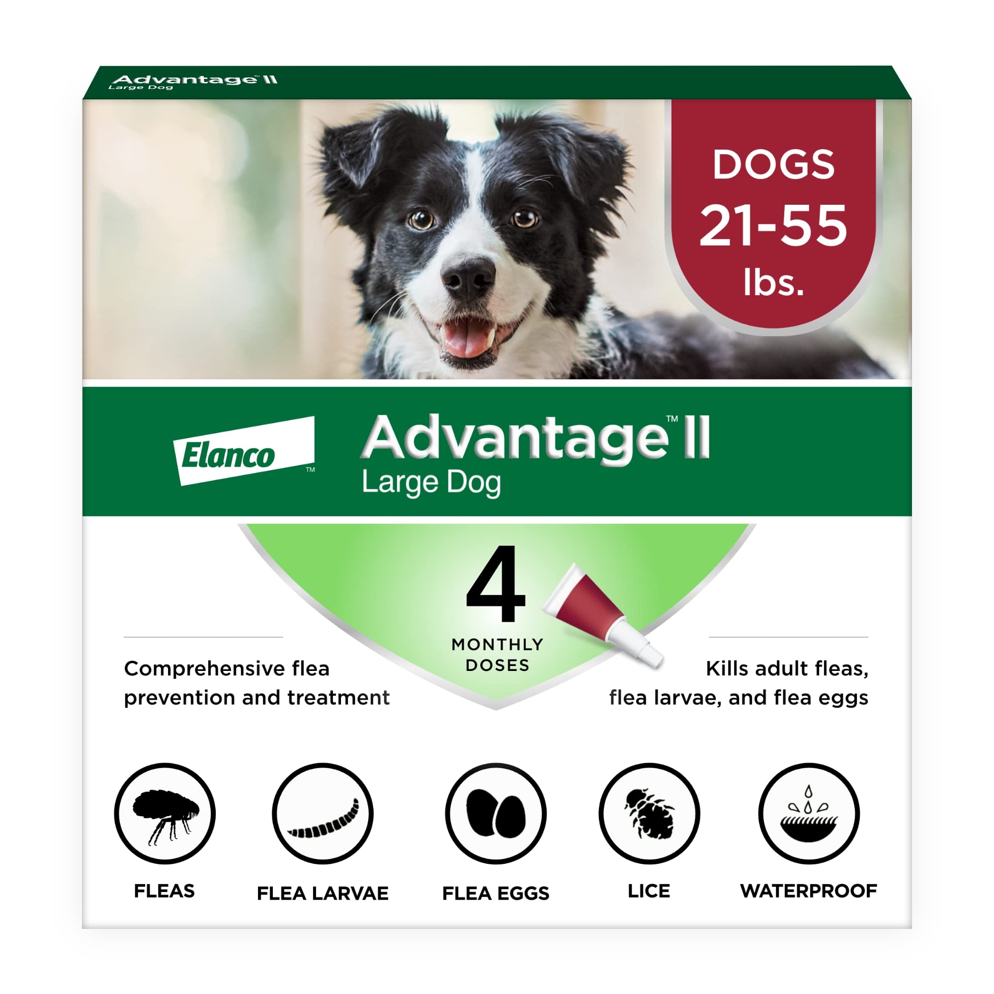 Advantage II الوقاية من البراغيث وعلاج الكلاب الكبيرة (21-55 جنيهًا)