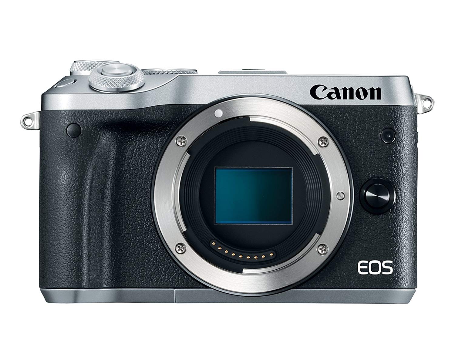 Canon هيكل EOS M6 (فضي)