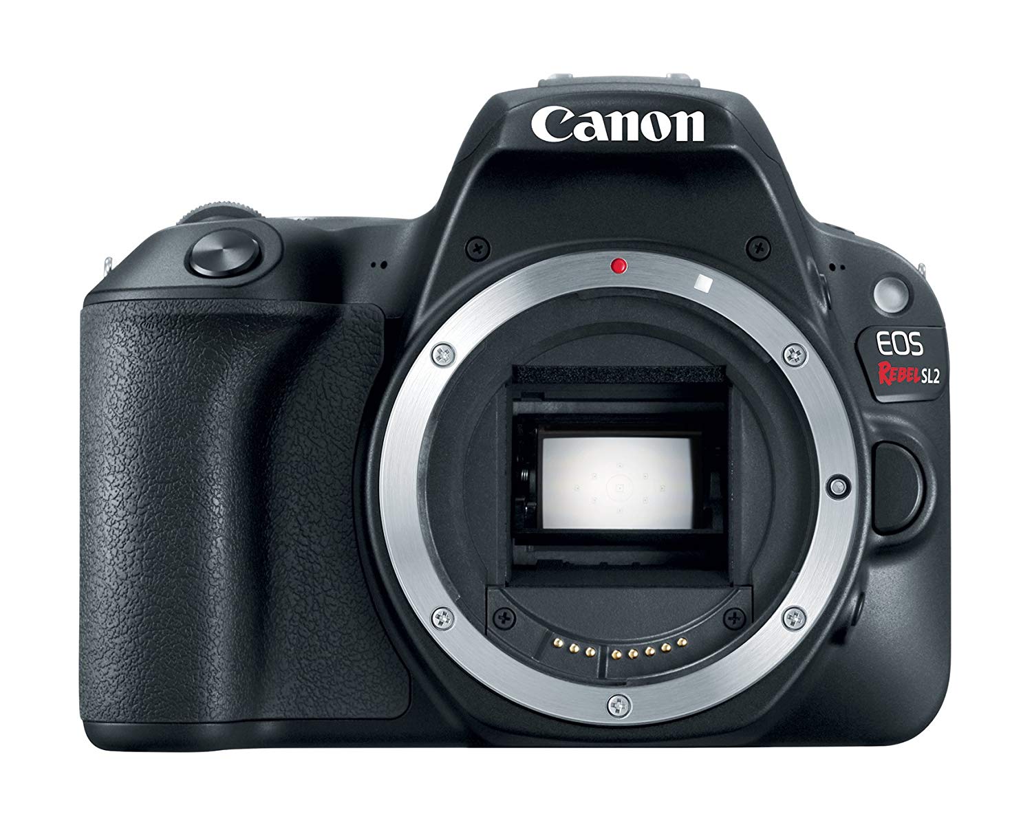 Canon هيكل كاميرا EOS Rebel SL2 الرقمية SLR - مع تمكين WiFi